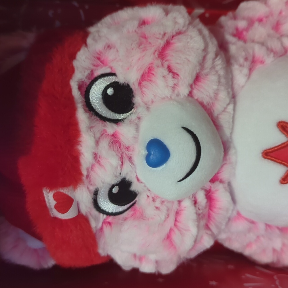 Care Bears Brand New True North Bear - Picture 2 of 13